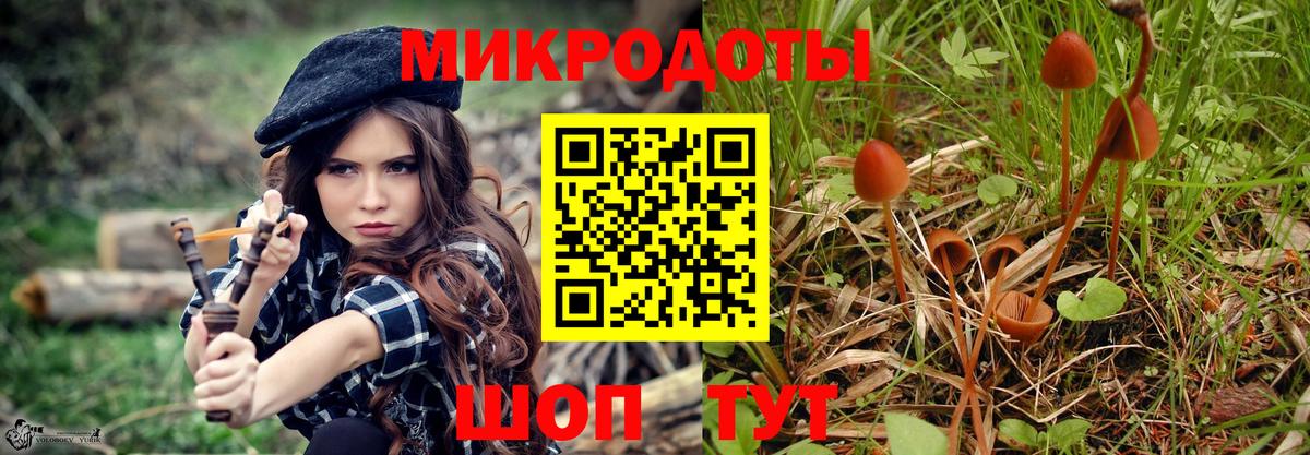 Выкса  Псилоцибиновые грибы Psilocybe  Вход с VPN 