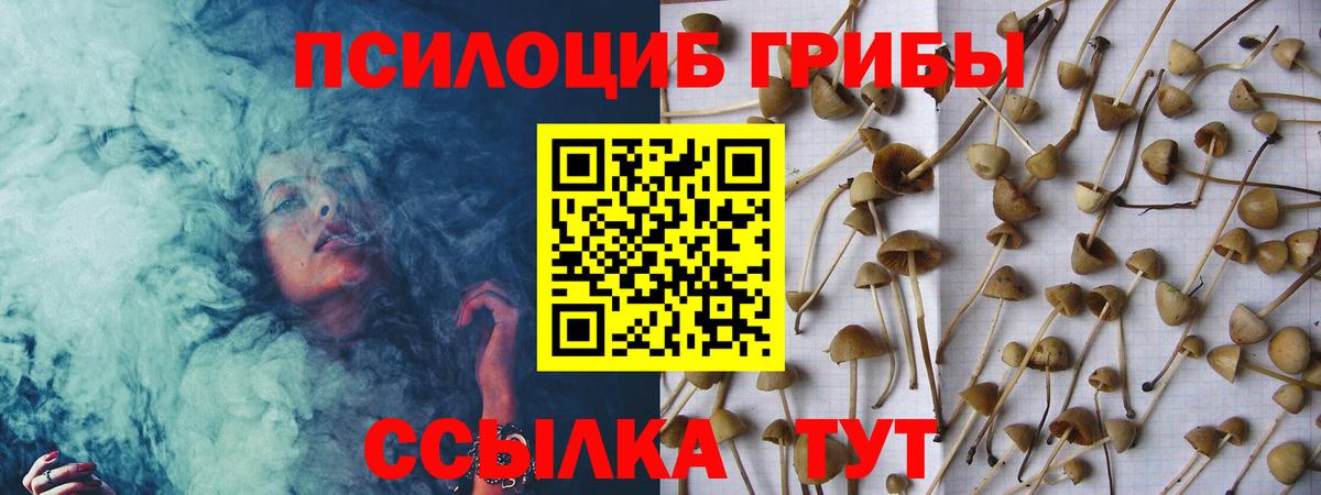 Псилоцибиновые грибы мицелий Выкса